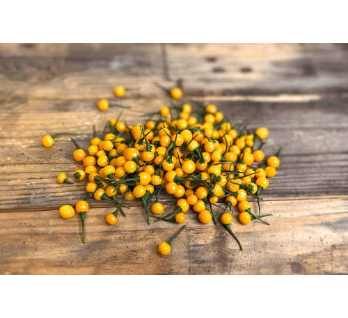 Насіння перцю гострого Aji Charapita. Екзот!